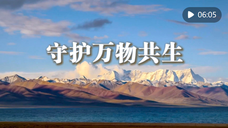 1309e9a0-1cc9-4b95-8f73-a47f436ab1ae.png