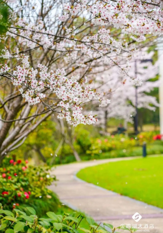苏州20处小众赏花地藏在这
